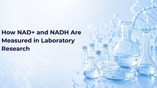 How NAD+ and NADH Are Measured in Laboratory Research