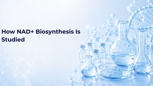 How NAD+ Biosynthesis Is Studied