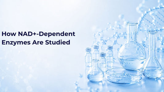 How NAD+-Dependent Enzymes Are Studied