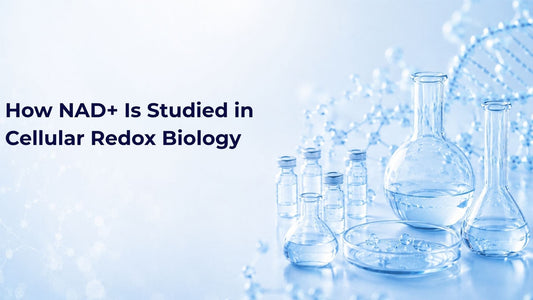 How NAD+ Is Studied in Cellular Redox Biology