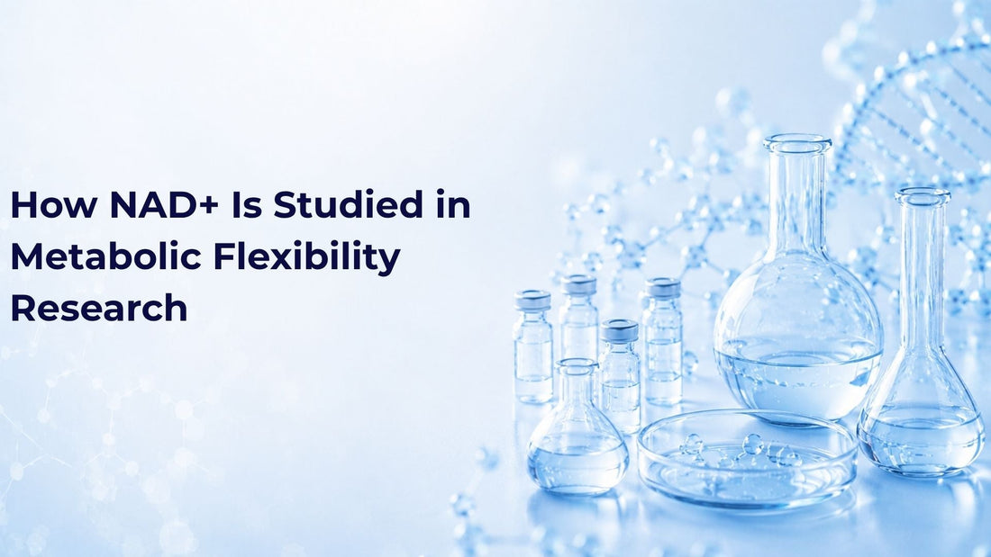How NAD+ Is Studied in Metabolic Flexibility Research