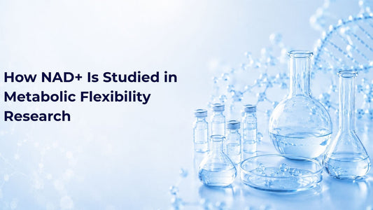 How NAD+ Is Studied in Metabolic Flexibility Research