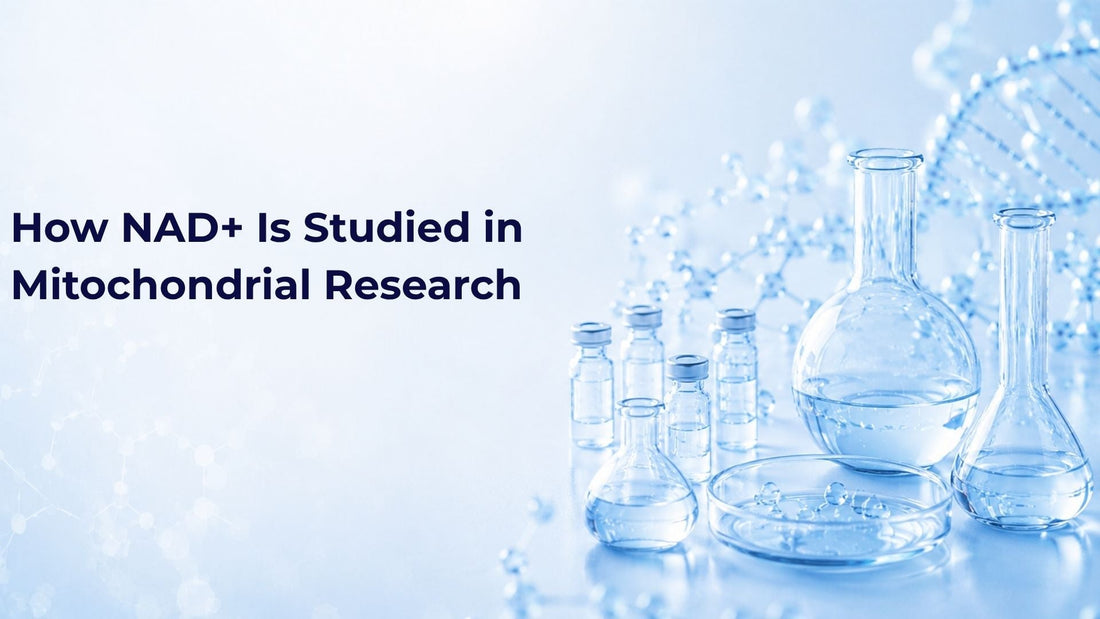 How NAD+ Is Studied in Mitochondrial Research