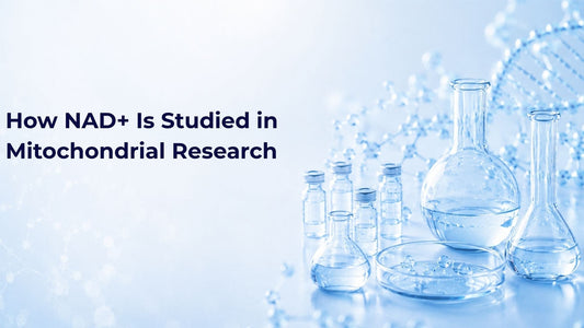 How NAD+ Is Studied in Mitochondrial Research