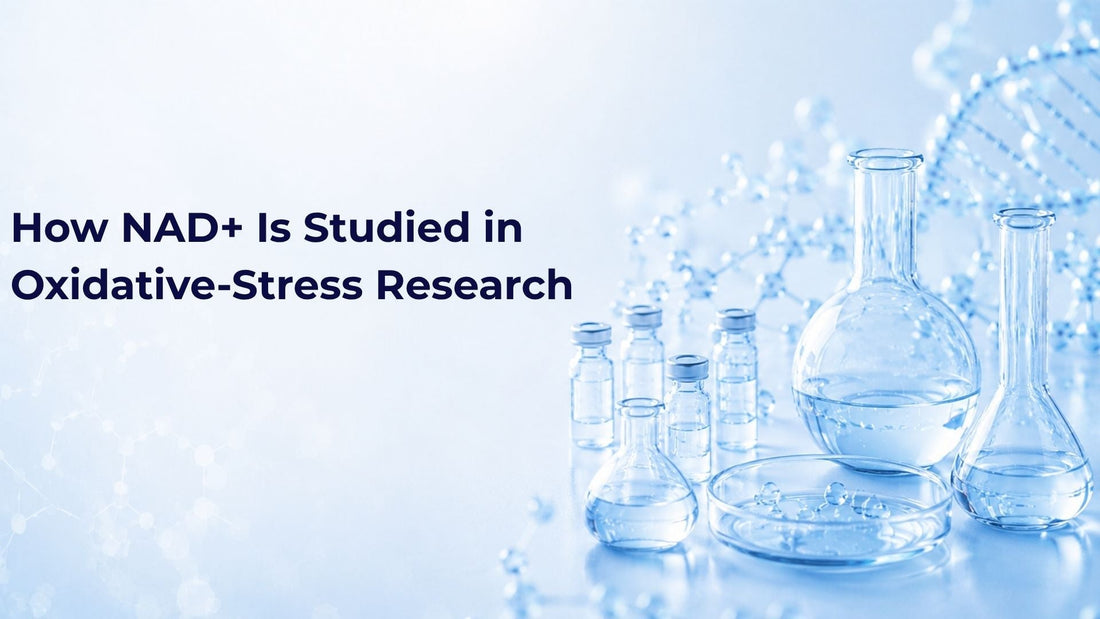 How NAD+ Is Studied in Oxidative-Stress Research