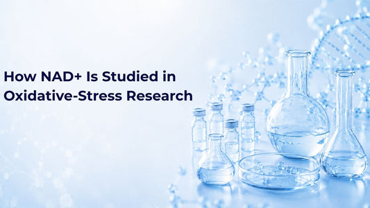 How NAD+ Is Studied in Oxidative-Stress Research