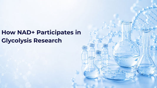 How NAD+ Participates in Glycolysis Research