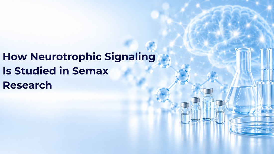How Neurotrophic Signaling Is Studied in Semax Research