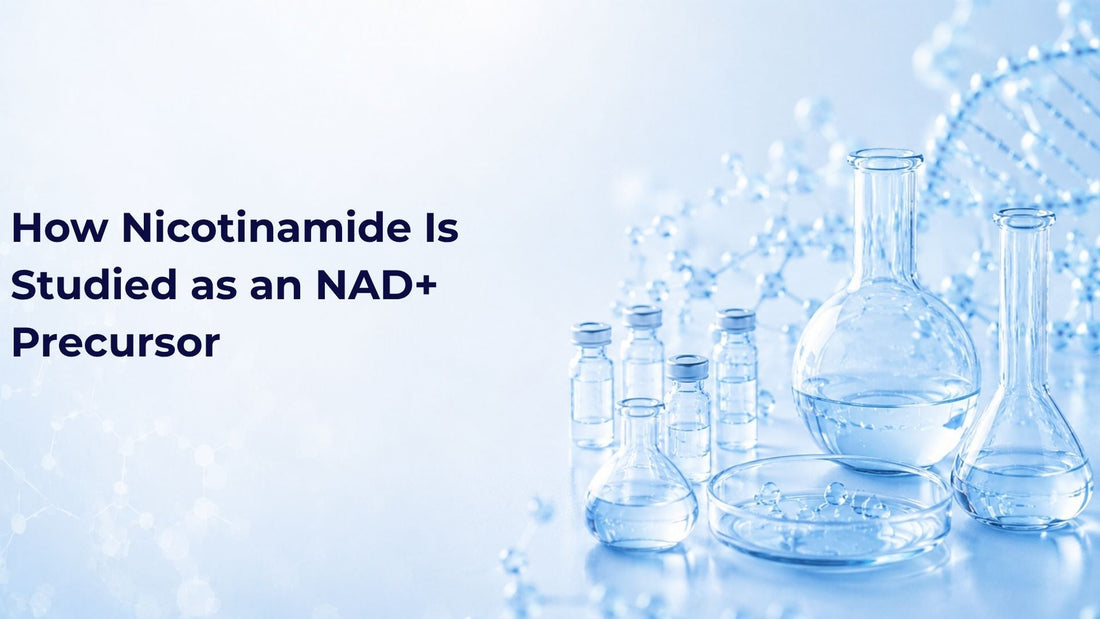 How Nicotinamide Is Studied as an NAD+ Precursor