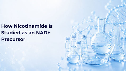 How Nicotinamide Is Studied as an NAD+ Precursor
