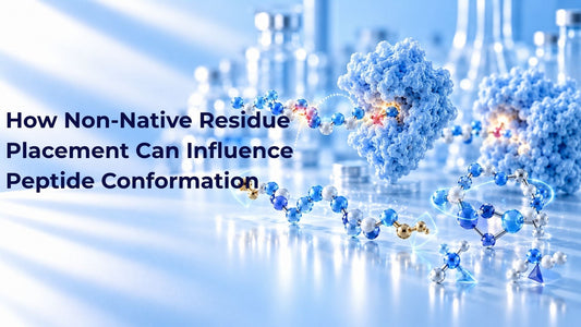 How Non-Native Residue Placement Can Influence Peptide Conformation