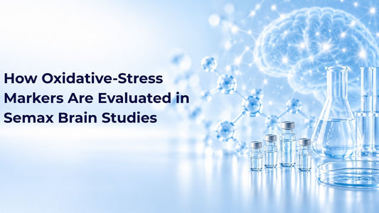 How Oxidative-Stress Markers Are Evaluated in Semax Brain Studies