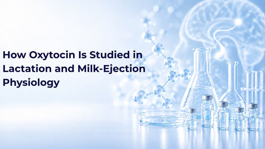 How Oxytocin Is Studied in Lactation and Milk-Ejection Physiology