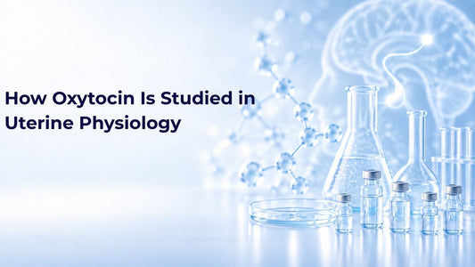 How Oxytocin Is Studied in Uterine Physiology