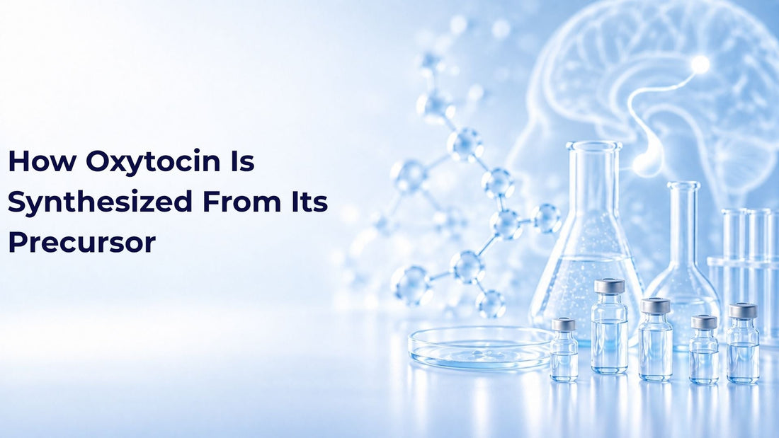 How Oxytocin Is Synthesized From Its Precursor