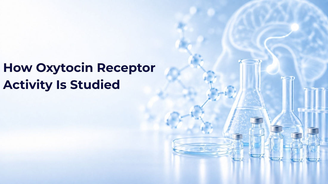 How Oxytocin Receptor Activity Is Studied