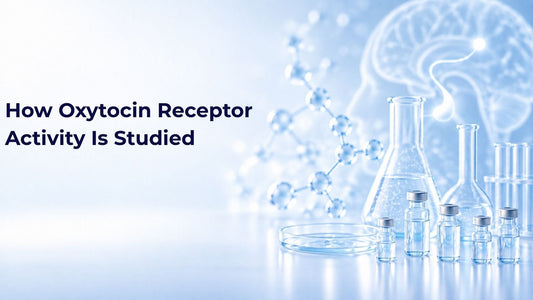 How Oxytocin Receptor Activity Is Studied