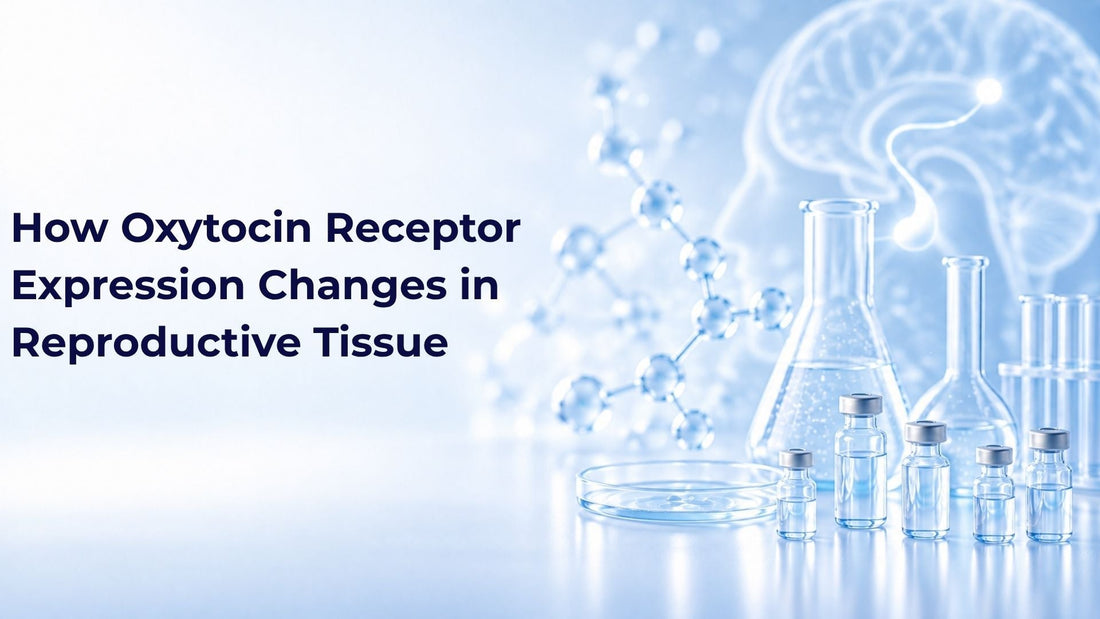 How Oxytocin Receptor Expression Changes in Reproductive Tissue