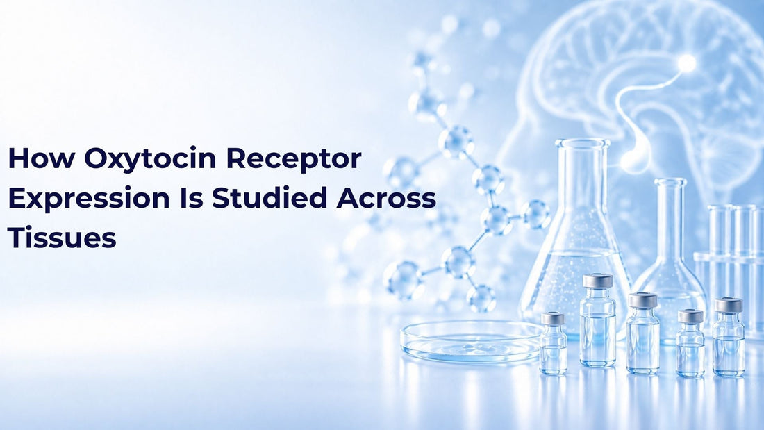 How Oxytocin Receptor Expression Is Studied Across Tissues