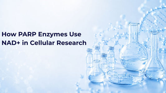 How PARP Enzymes Use NAD+ in Cellular Research