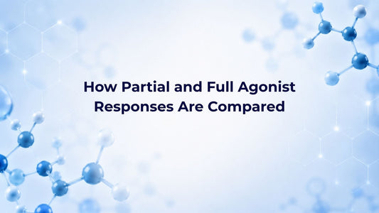 How Partial and Full Agonist Responses Are Compared