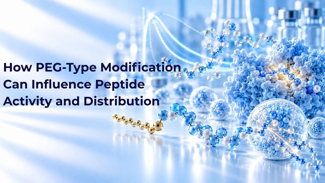 How PEG-Type Modification Can Influence Peptide Activity and Distribution