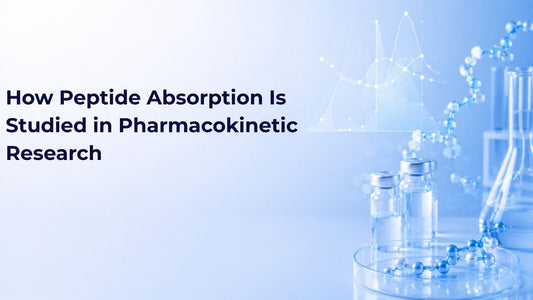 How Peptide Absorption Is Studied in Pharmacokinetic Research