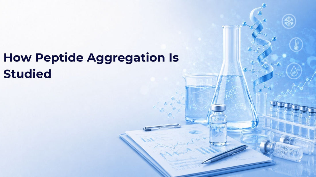 How Peptide Aggregation Is Studied