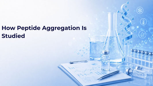 How Peptide Aggregation Is Studied