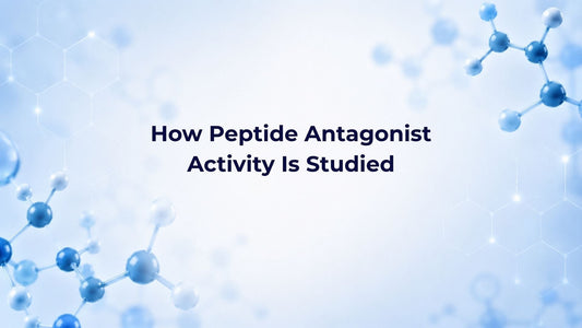 How Peptide Antagonist Activity Is Studied