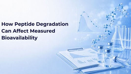 How Peptide Degradation Can Affect Measured Bioavailability