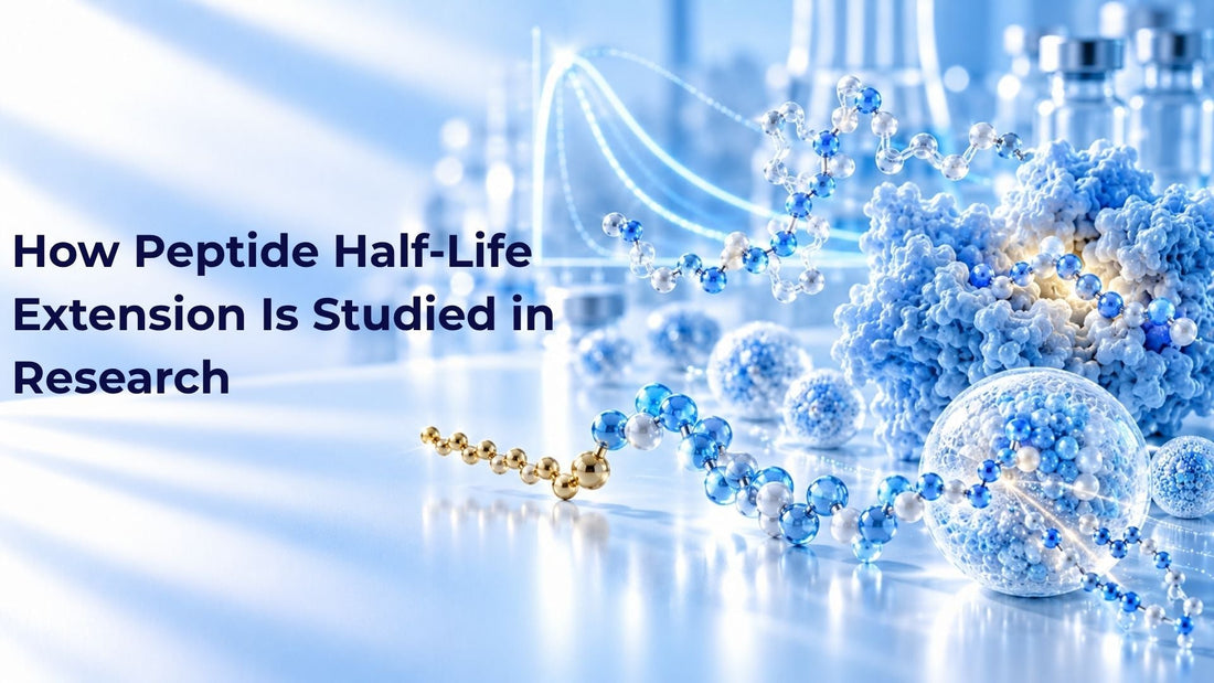 How Peptide Half-Life Extension Is Studied in Research