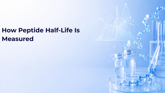 How Peptide Half-Life Is Measured