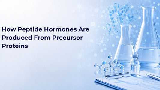 How Peptide Hormones Are Produced From Precursor Proteins