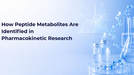 How Peptide Metabolites Are Identified in Pharmacokinetic Research