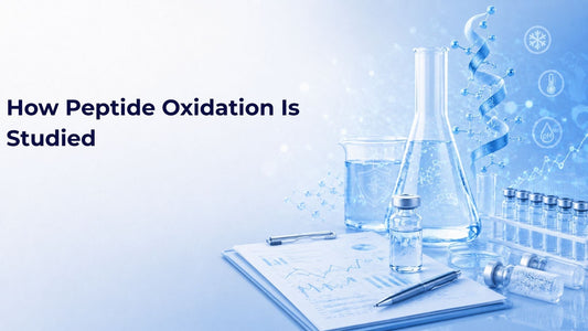 How Peptide Oxidation Is Studied
