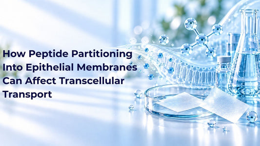 How Peptide Partitioning Into Epithelial Membranes Can Affect Transcellular Transport