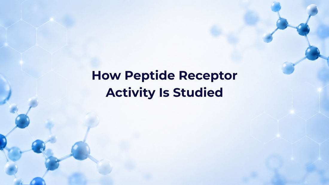 How Peptide Receptor Activity Is Studied