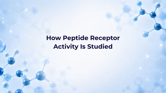 How Peptide Receptor Activity Is Studied