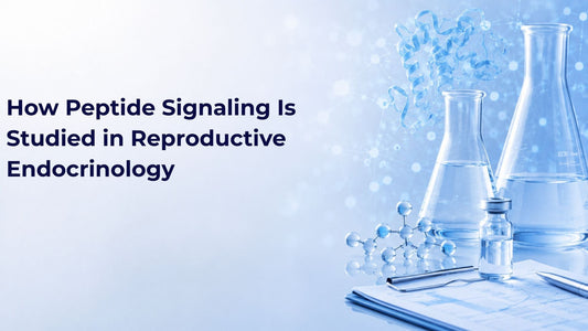 How Peptide Signaling Is Studied in Reproductive Endocrinology
