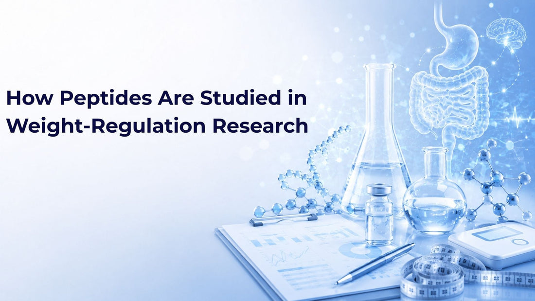 How Peptides Are Studied in Weight-Regulation Research