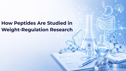 How Peptides Are Studied in Weight-Regulation Research