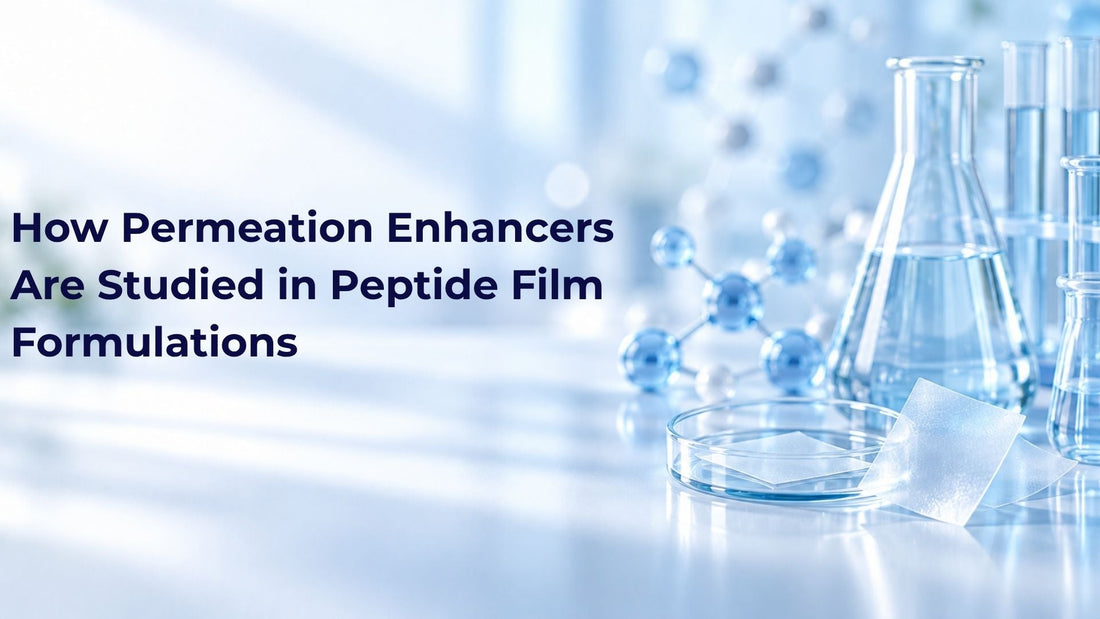 How Permeation Enhancers Are Studied in Peptide Film Formulations