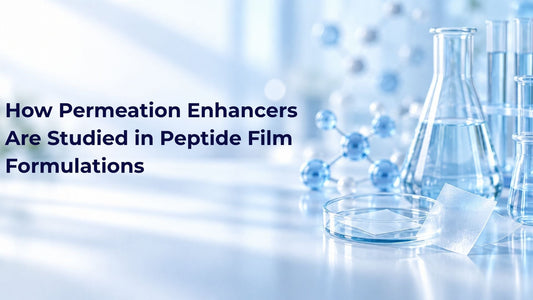 How Permeation Enhancers Are Studied in Peptide Film Formulations