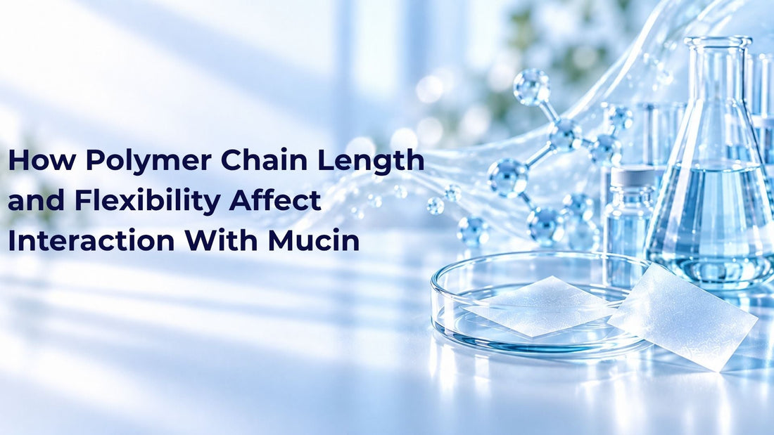 How Polymer Chain Length and Flexibility Affect Interaction With Mucin
