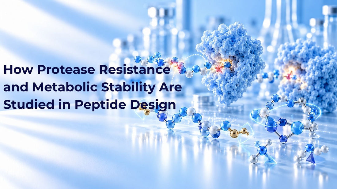 How Protease Resistance and Metabolic Stability Are Studied in Peptide Design