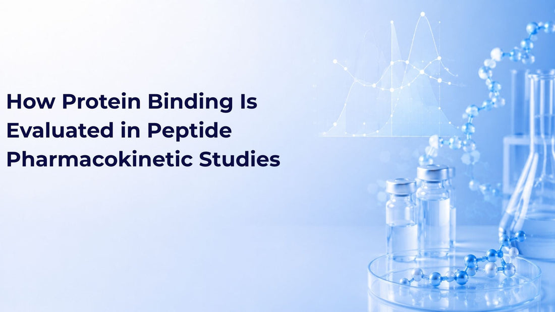 How Protein Binding Is Evaluated in Peptide Pharmacokinetic Studies