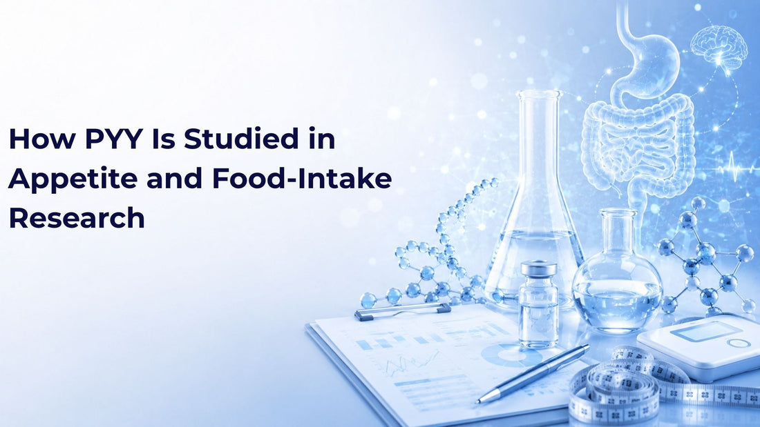 How PYY Is Studied in Appetite and Food-Intake Research