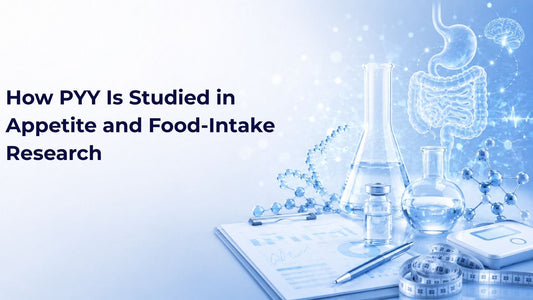 How PYY Is Studied in Appetite and Food-Intake Research