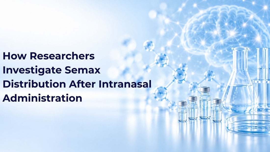 How Researchers Investigate Semax Distribution After Intranasal Administration